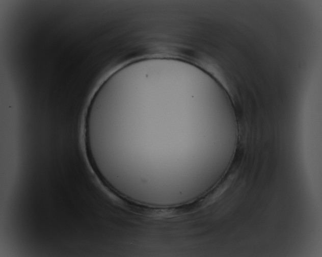 X0000099981387200806061514