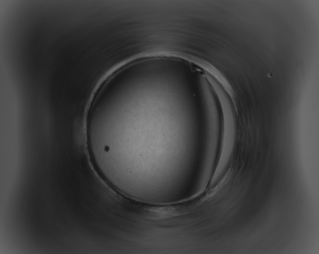 X0000099981388200806061514