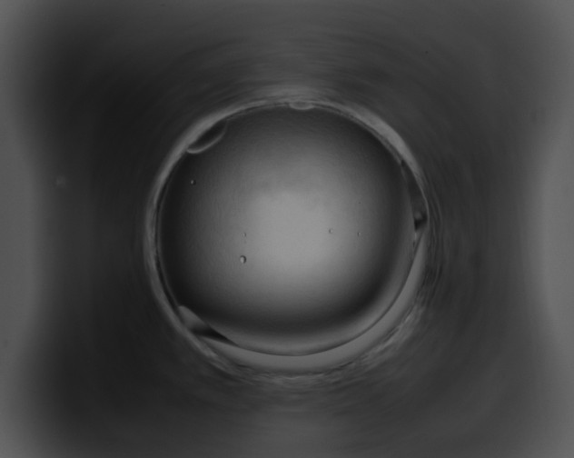 X0000099981389200806061514