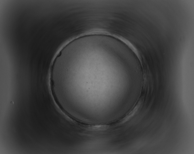 X0000099981390200806061514