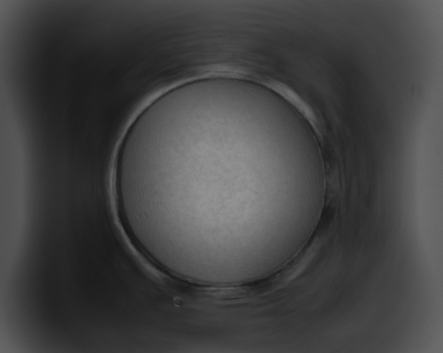 X0000099981391200806061514