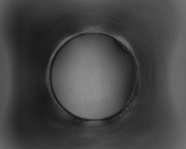 X0000099981392200806061514