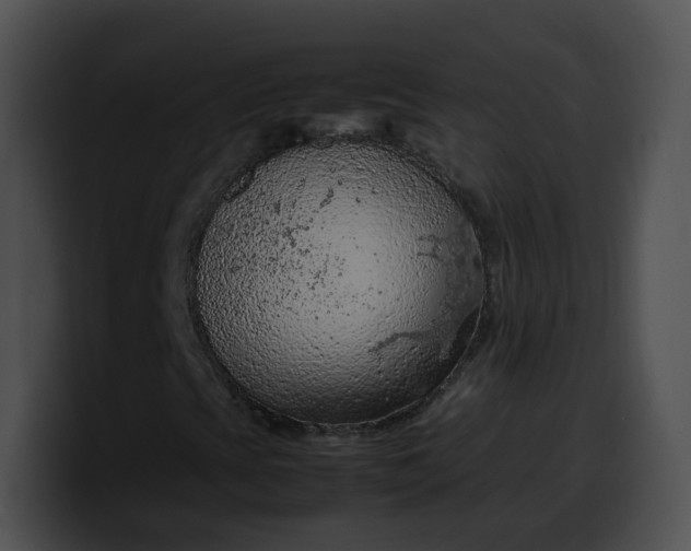 X0000099981393200806061513