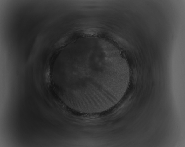 X0000099981394200806061513