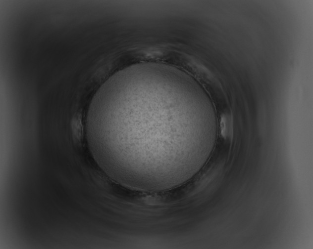 X0000099981395200806061513