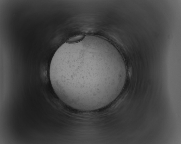 X0000099981396200806061513