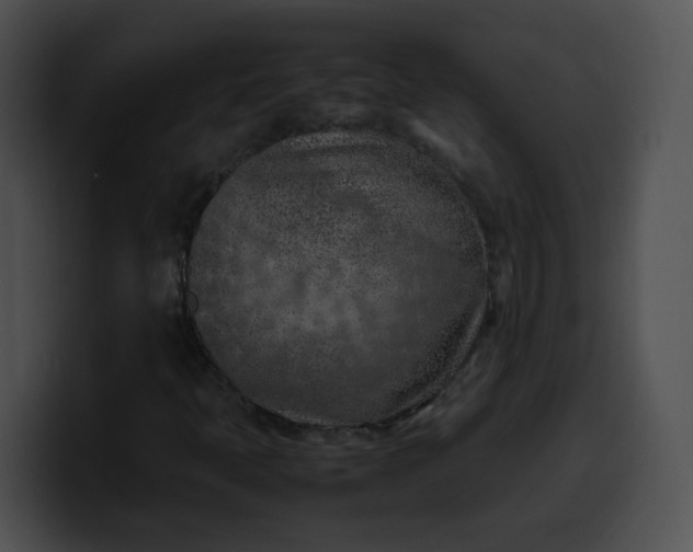 X0000099981397200806061513