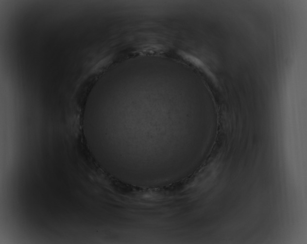 X0000099981399200806061513