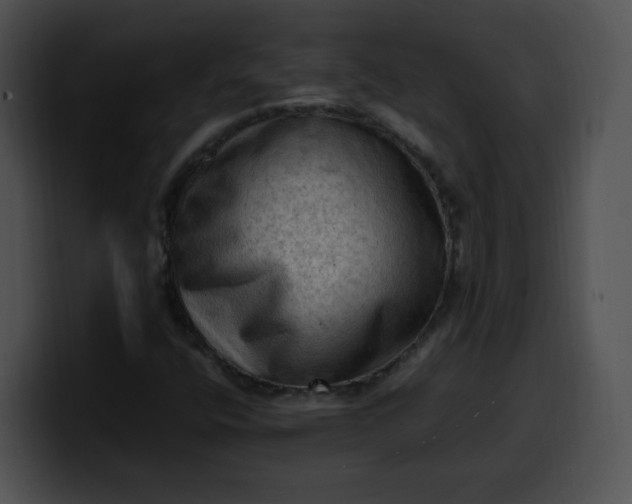 X0000099981400200806061513