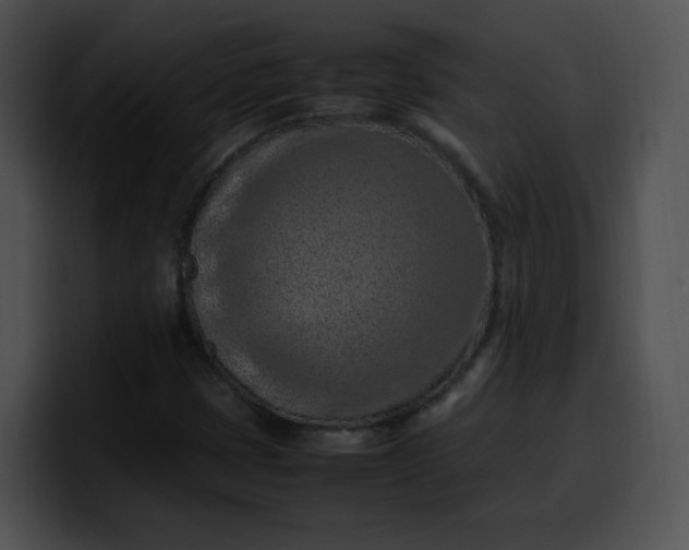 X0000099981401200806061513