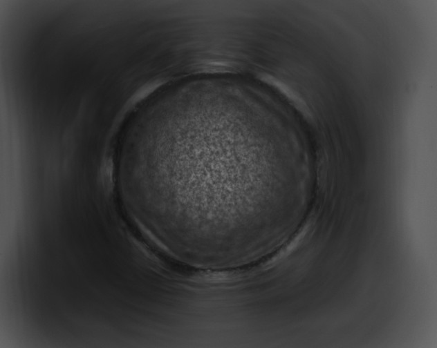 X0000099981402200806061513