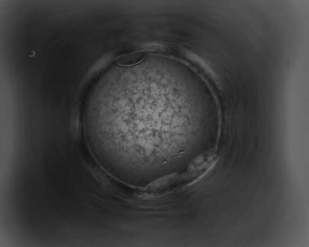 X0000099981403200806061513