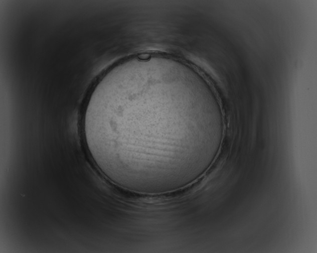 X0000099981404200806061513