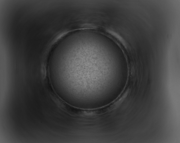 X0000099981407200806061513