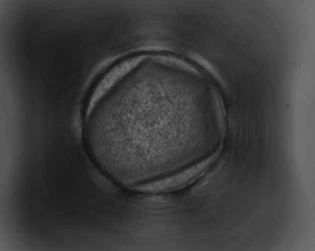 X0000099981408200806061513