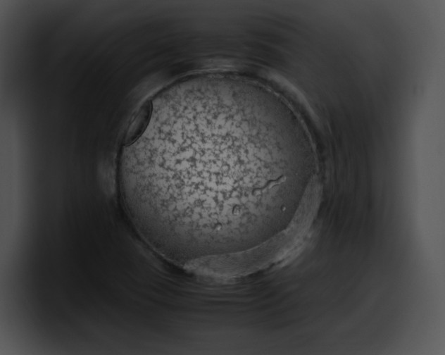 X0000099981409200806061513