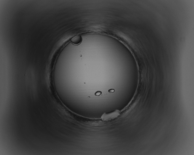 X0000099981410200806061513