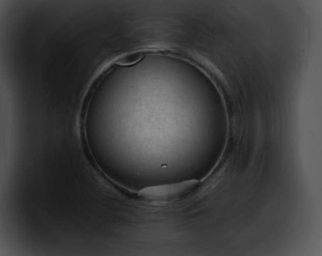 X0000099981412200806061513