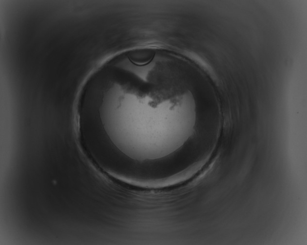 X0000099981414200806061513