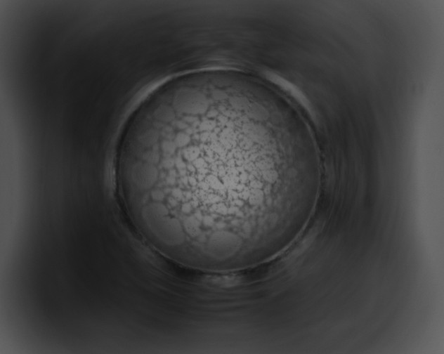 X0000099981415200806061513