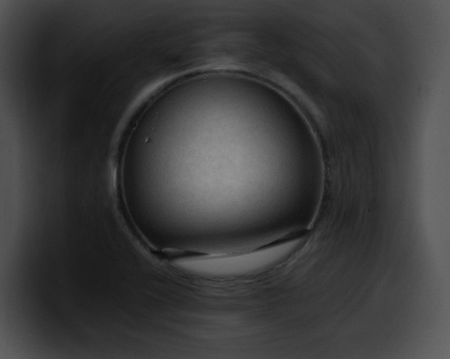 X0000099981416200806061513