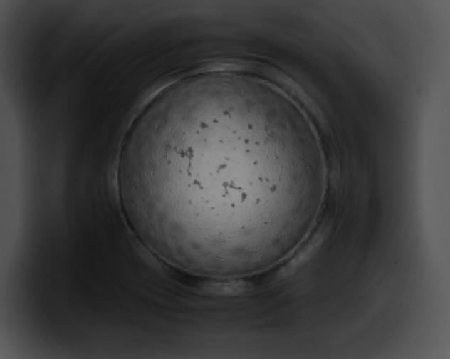 X0000099981417200806061513