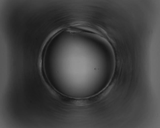 X0000099981418200806061513