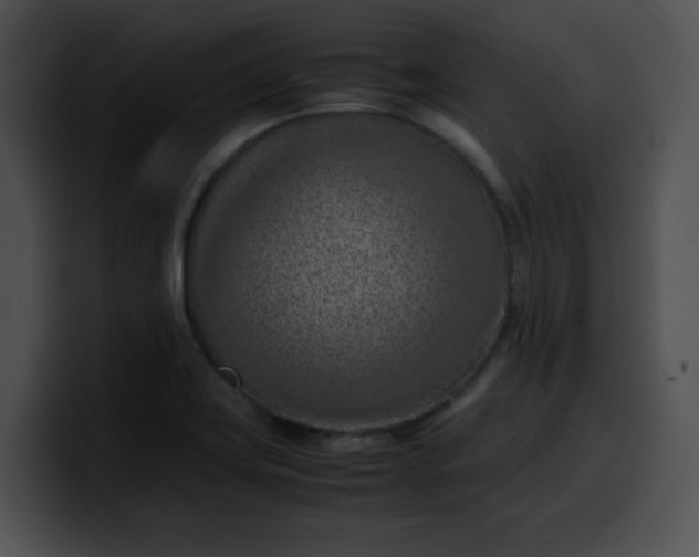 X0000099981419200806061513