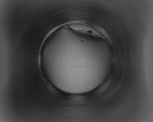 X0000099981420200806061513