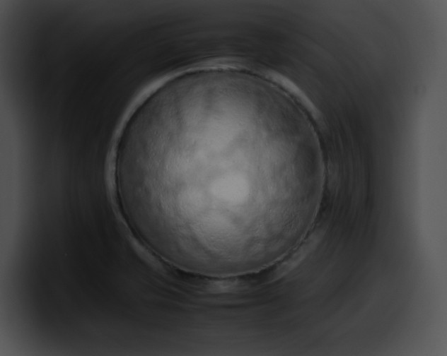 X0000099981421200806061513