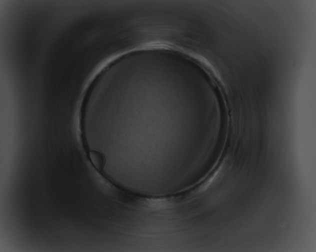 X0000099981422200806061513