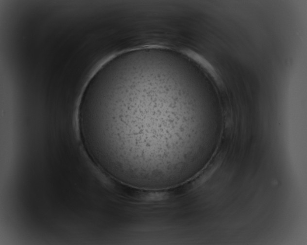 X0000099981423200806061513