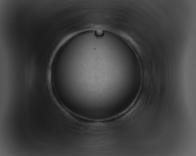 X0000099981424200806061513