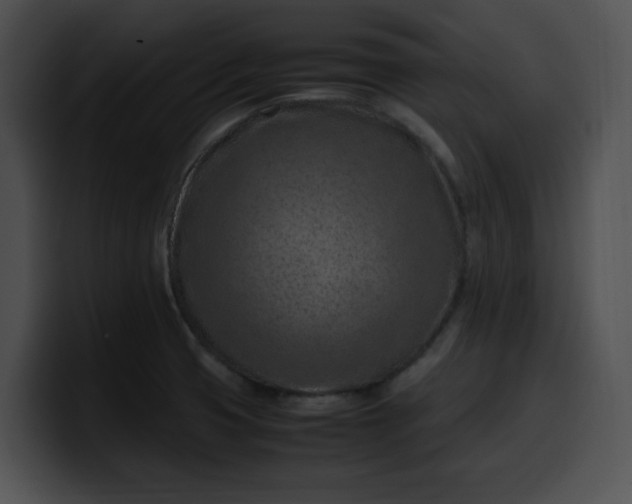 X0000099981425200806061514