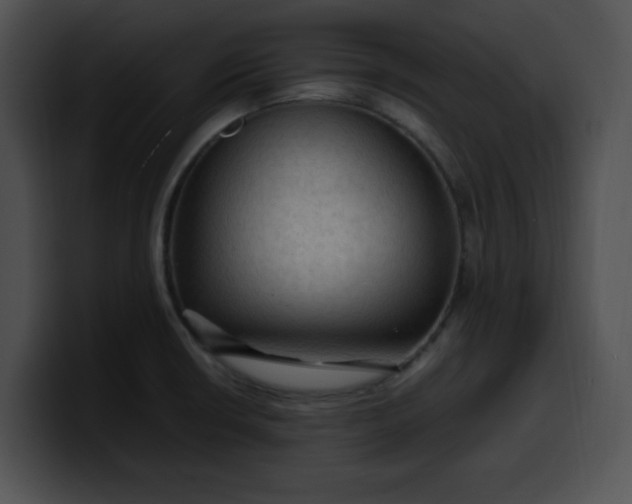 X0000099981426200806061514