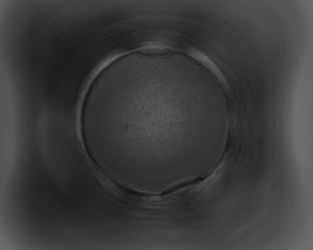 X0000099981427200806061514