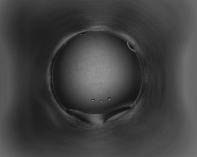 X0000099981430200806061514