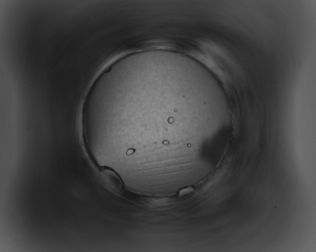 X0000099981431200806061514