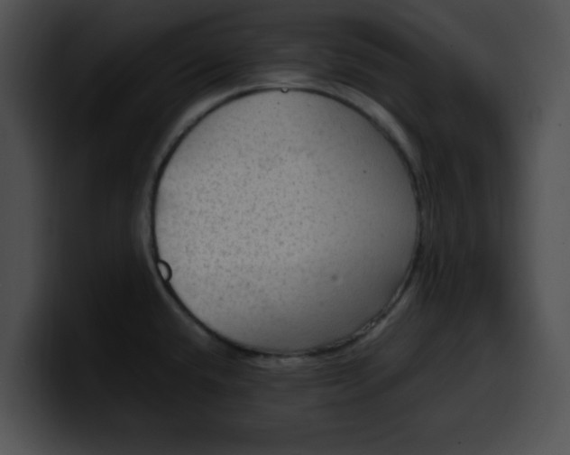 X0000099981432200806061514