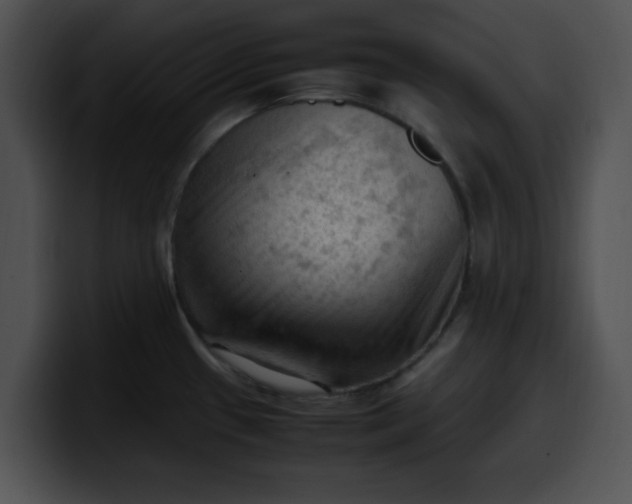 X0000099981433200806061514