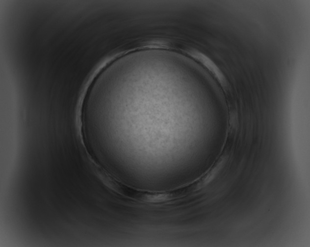 X0000099981435200806061514