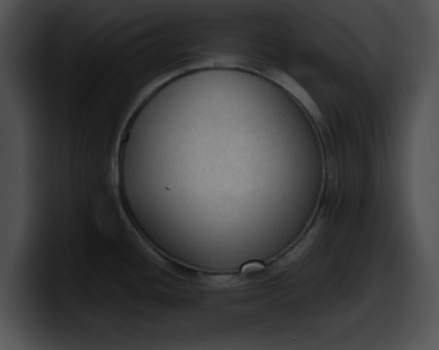 X0000099981436200806061514