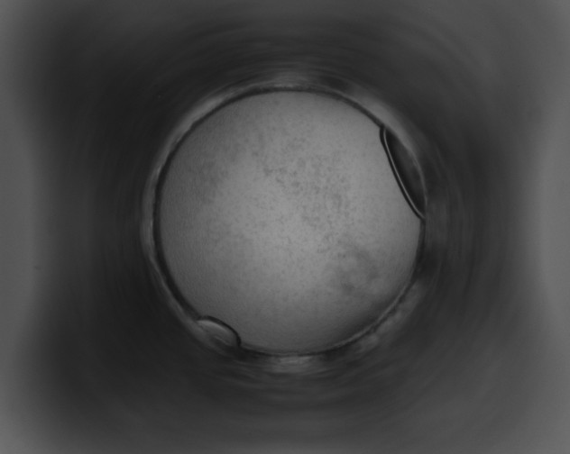 X0000099981437200806061514