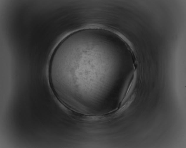 X0000099981438200806061514