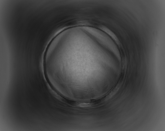 X0000099981439200806061514