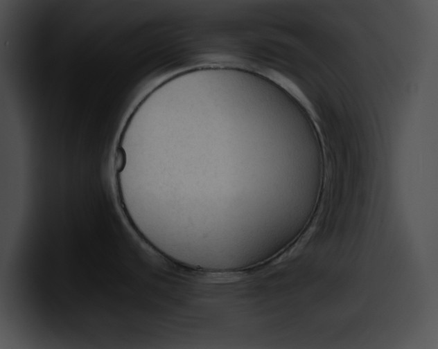 X0000099981440200806061514