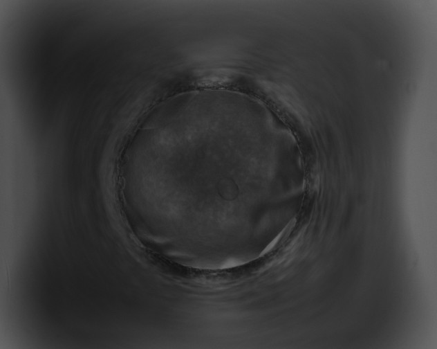 X0000099981441200806061513