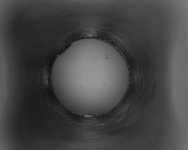 X0000099981442200806061513