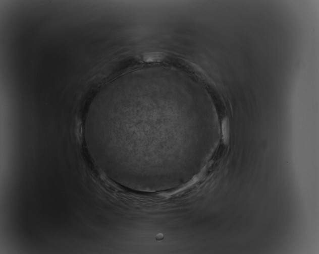 X0000099981443200806061513