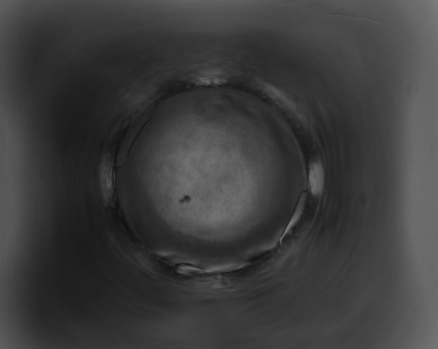 X0000099981444200806061513